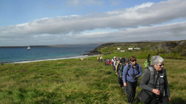 Sub antarctic Enderby Island c Paul Charman