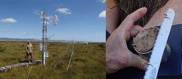 Research tower in the middle of the Kopuatai peat bog and a core of the peat