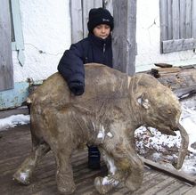 Lyuba after find Shemanovsky Museum Exhibition Complex