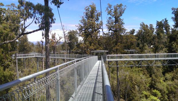 Tree top walkway