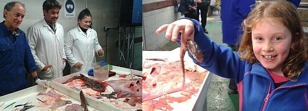 Malcolm Francis and Ryan Johnson at a public shark dissection with a young shark fan looking at a baby shark