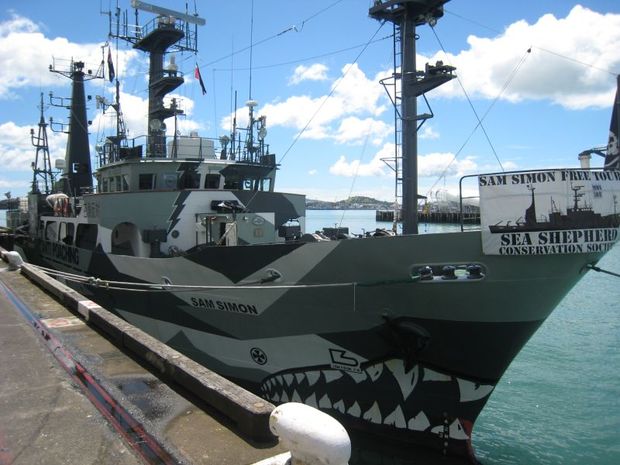 The Sam Simon berthed alongside Princes Wharf in Auckland RNZ Lisa Thompson