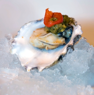 oyster