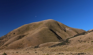 Papatuanuku