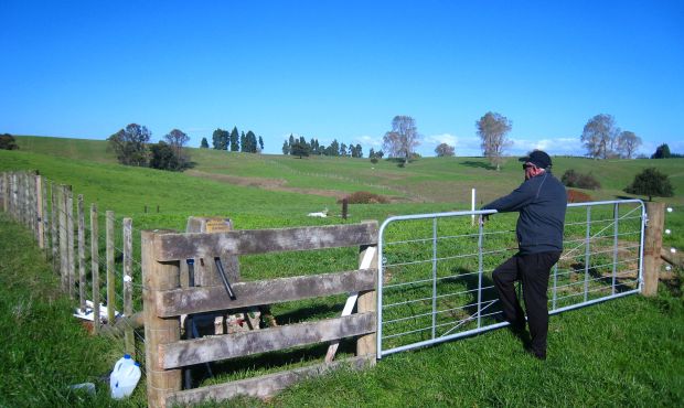 Maurie Zinsli looking into the cemetery