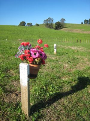 Maria Zinsli grave