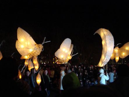 Dunedin Midwinter Carnival