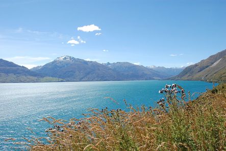 Wanaka